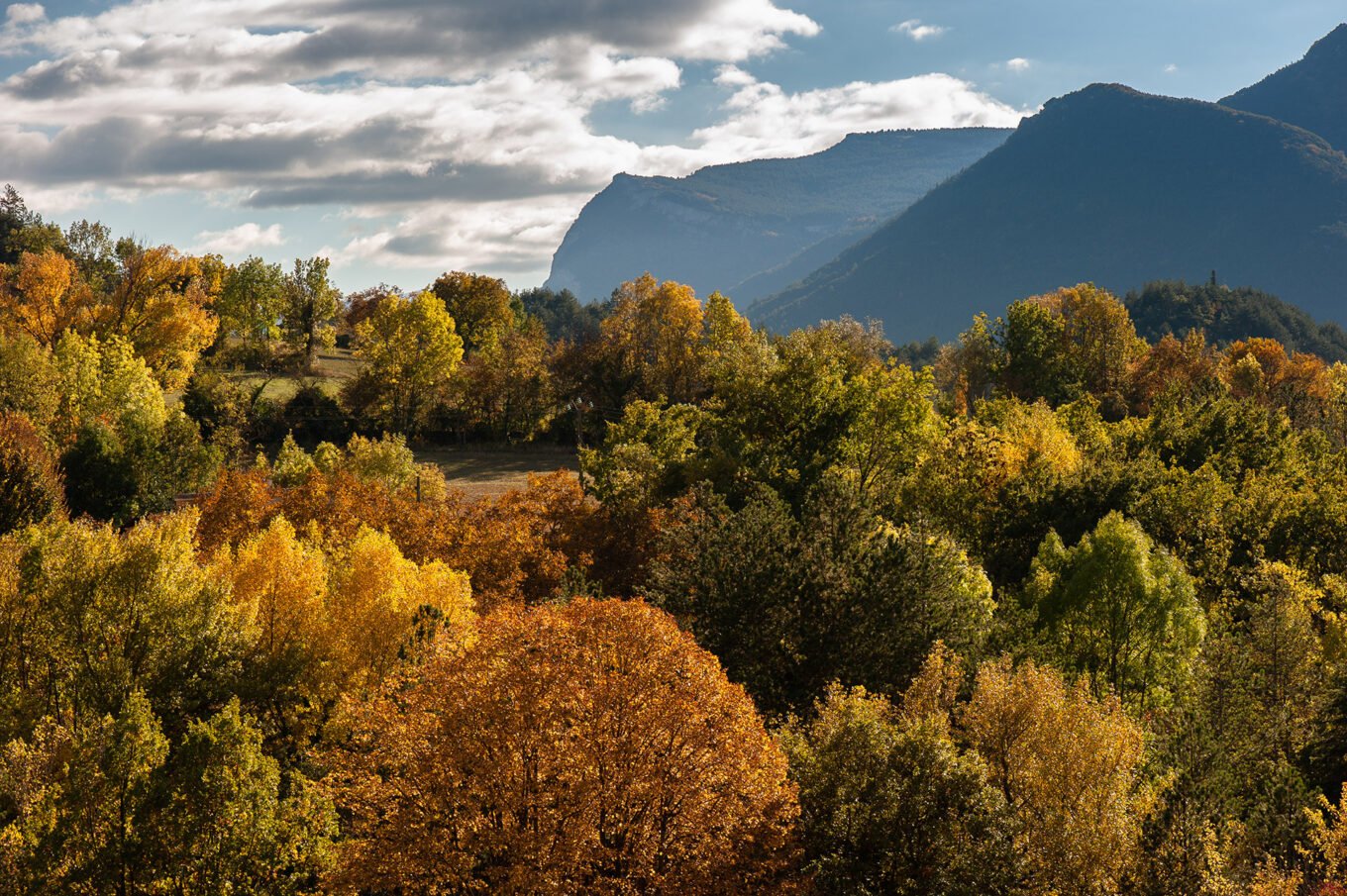 Randonnée automne diois drome - Arbres aux couleurs d automne dans le diois