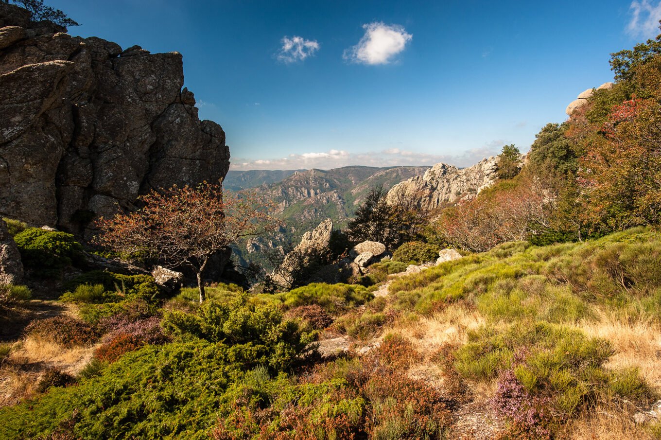 Randonnée bivouac aux Gorges d'Heric et au Caroux - Paysage le long des chemins de randonnée du Caroux