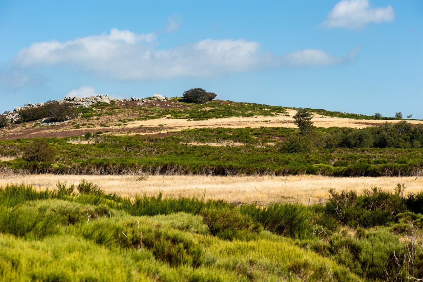 Randonnée bivouac aux Gorges d'Heric et au Caroux - Le plateau du Caroux dans le Haut-Languedoc