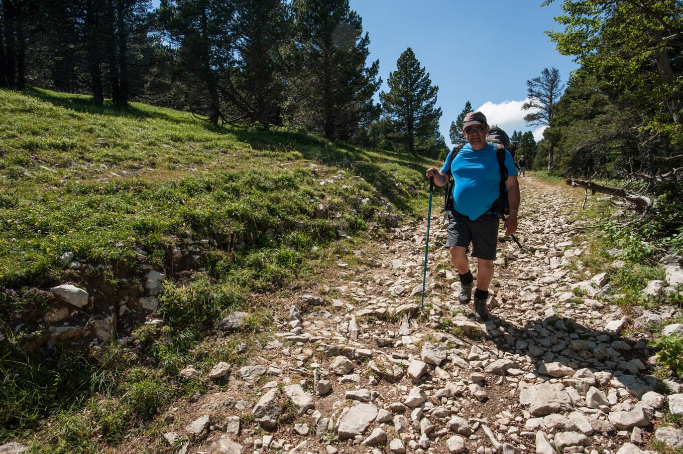 Randonnée Bivouac au Grand Veymont sur les hauts plateaux du Vercors - Sur un chemin forestier de la Montagne de Beure