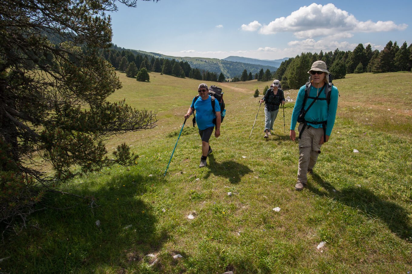 Randonnée Bivouac au Grand Veymont sur les hauts plateaux du Vercors - Entrée dans le coeur de la réserve des hauts plateaux du Vercors