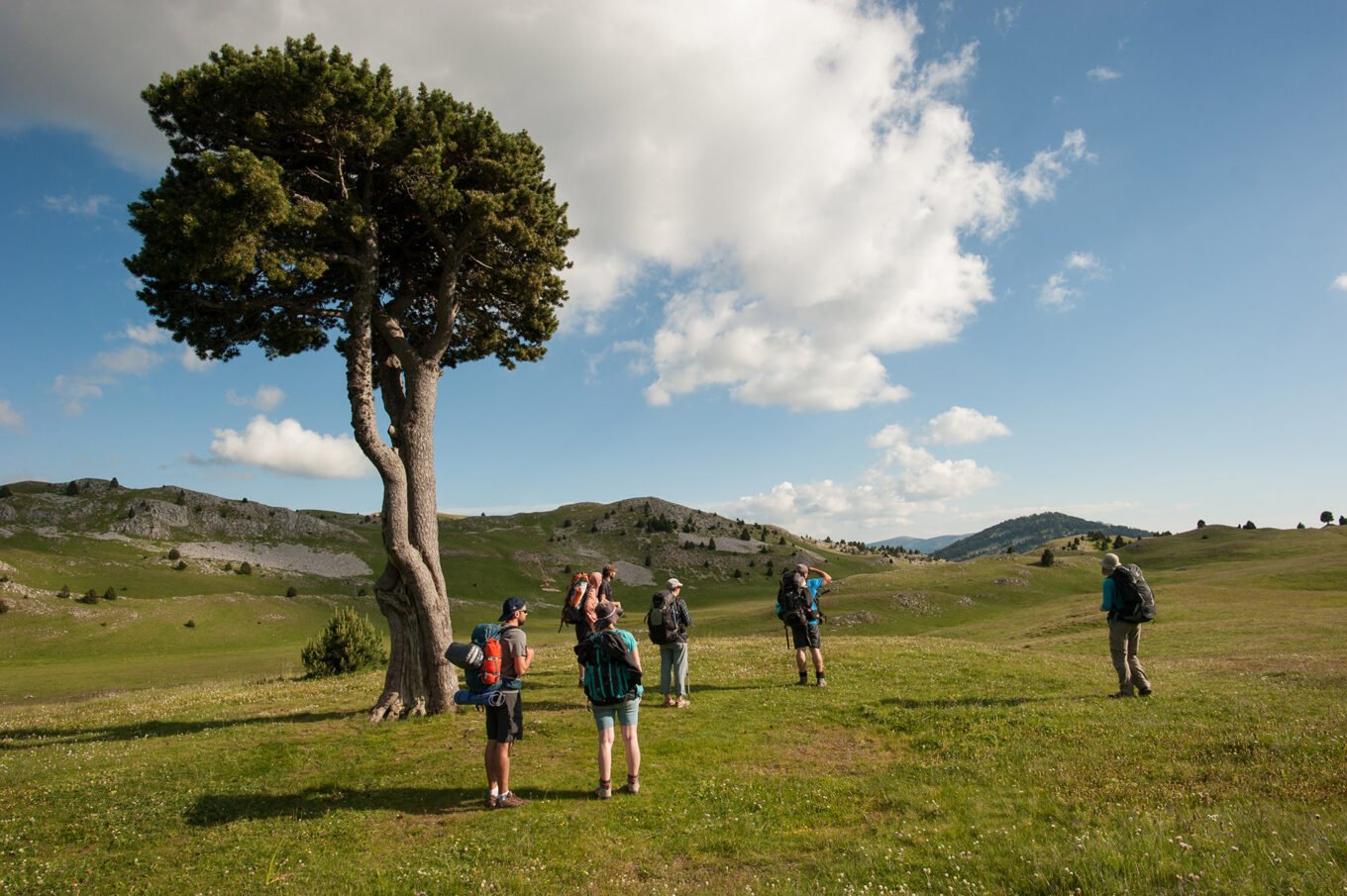 Randonnée Bivouac au Grand Veymont sur les hauts plateaux du Vercors - La plaine de la Queyrie et son Arbre Taillé