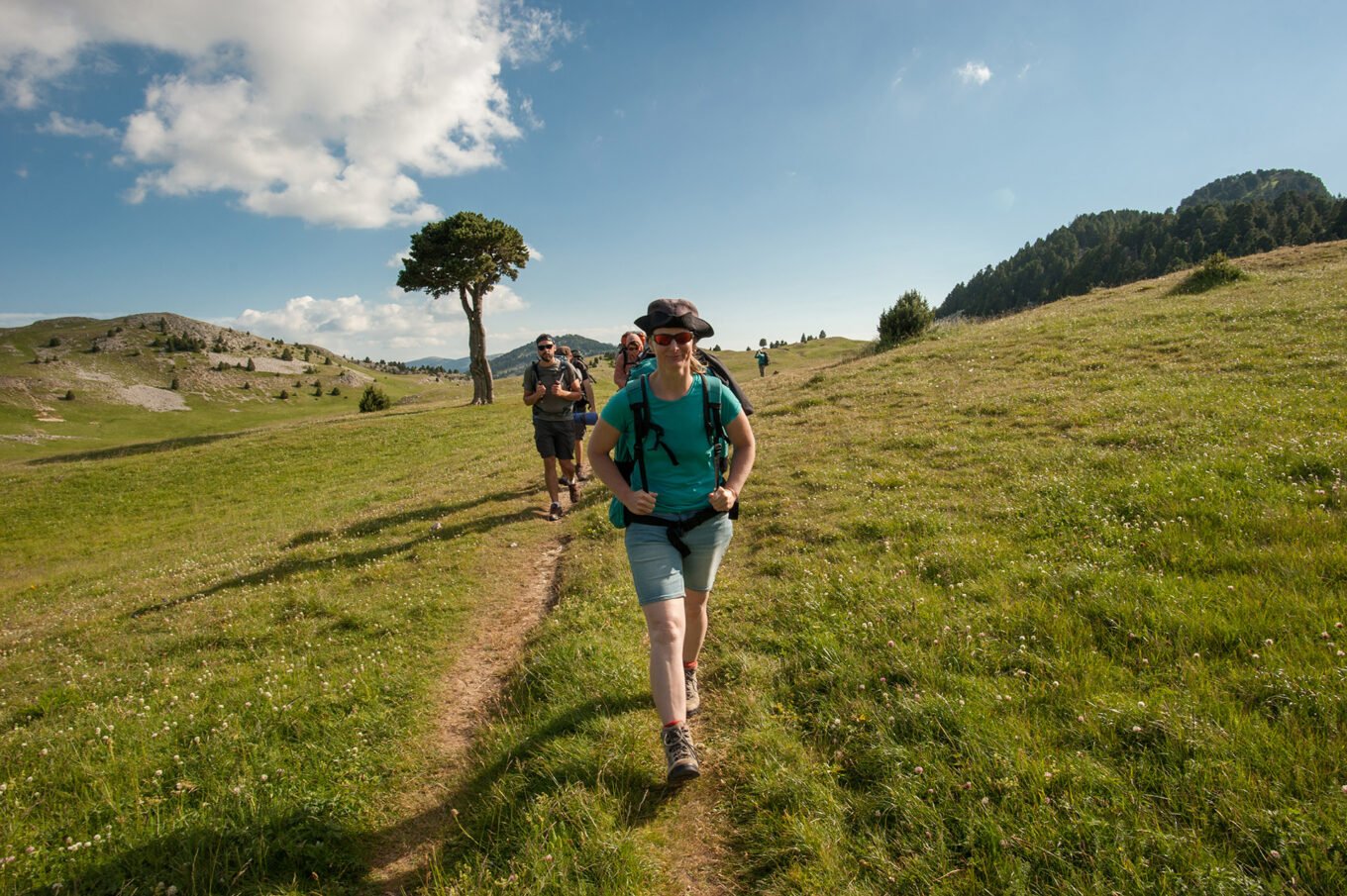 Randonnée Bivouac au Grand Veymont sur les hauts plateaux du Vercors - La plaine de la Queyrie et son Arbre Taillé