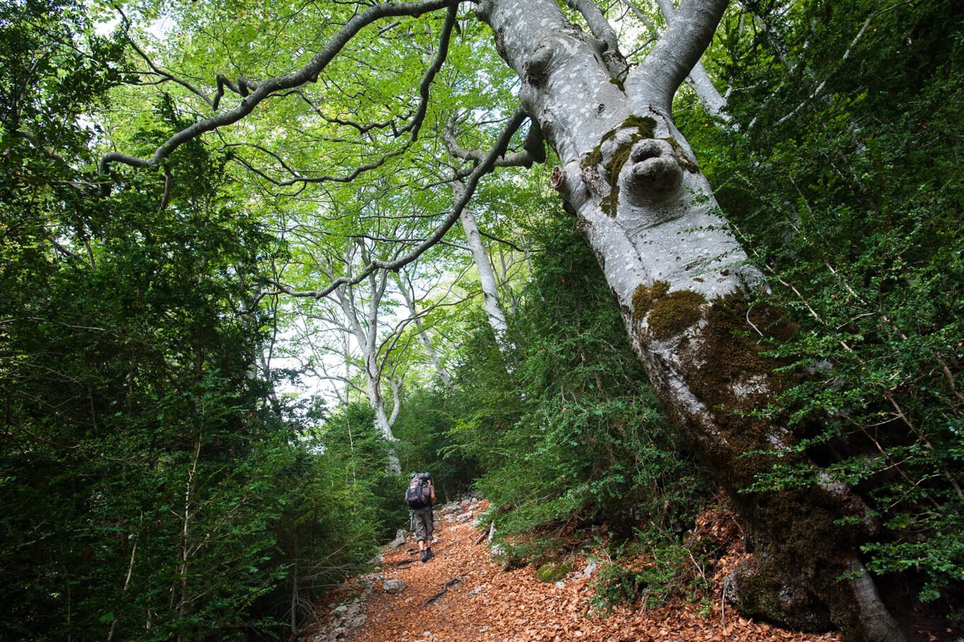 Randonnée Bivouac Vercors de Archiane au Glandasse - Le cirque d'Archiane