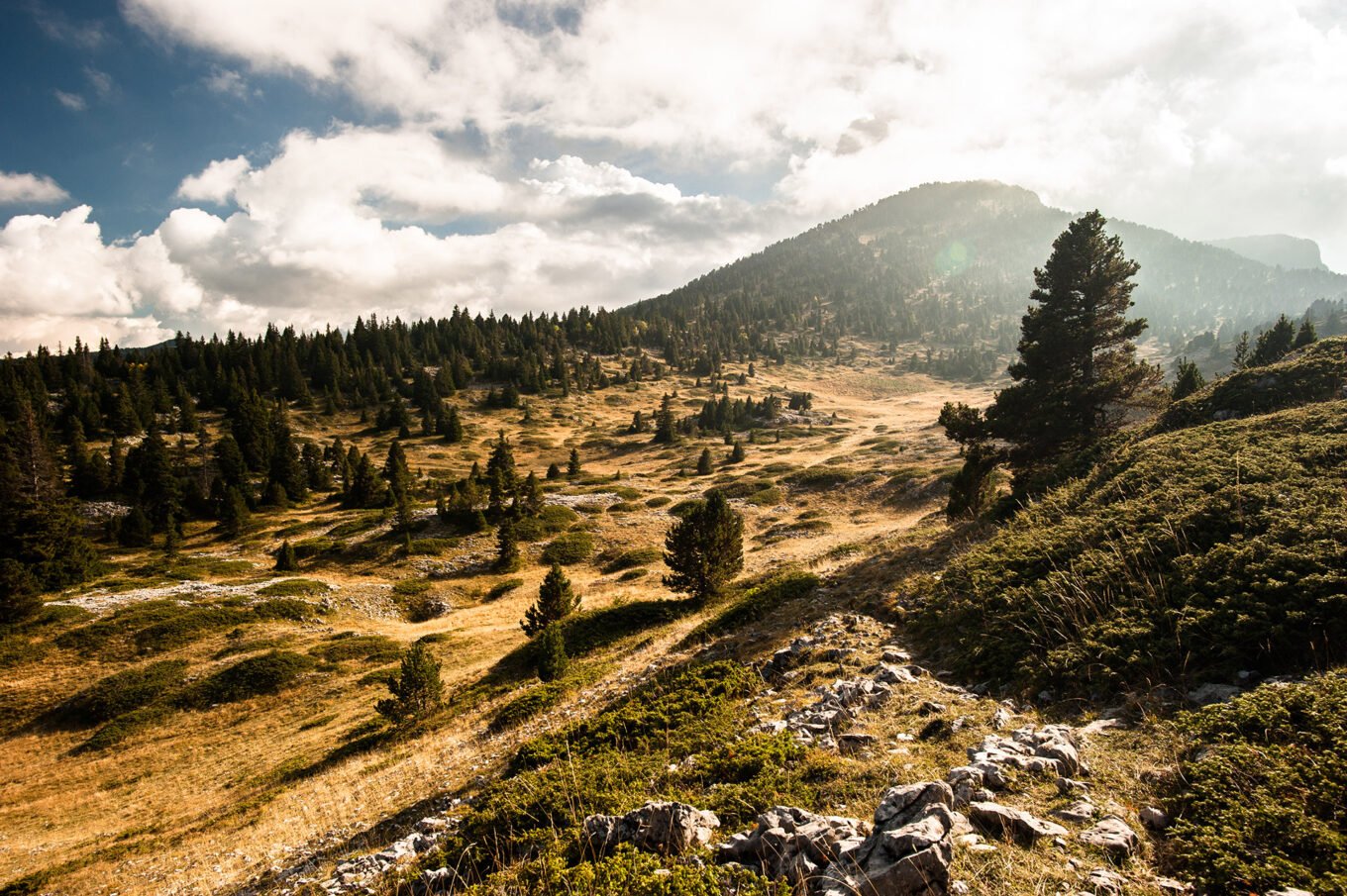 Randonnée Bivouac Vercors de Archiane au Glandasse - Les pentes du Glandasse dans la réserve des Hauts Plateaux du Vercors