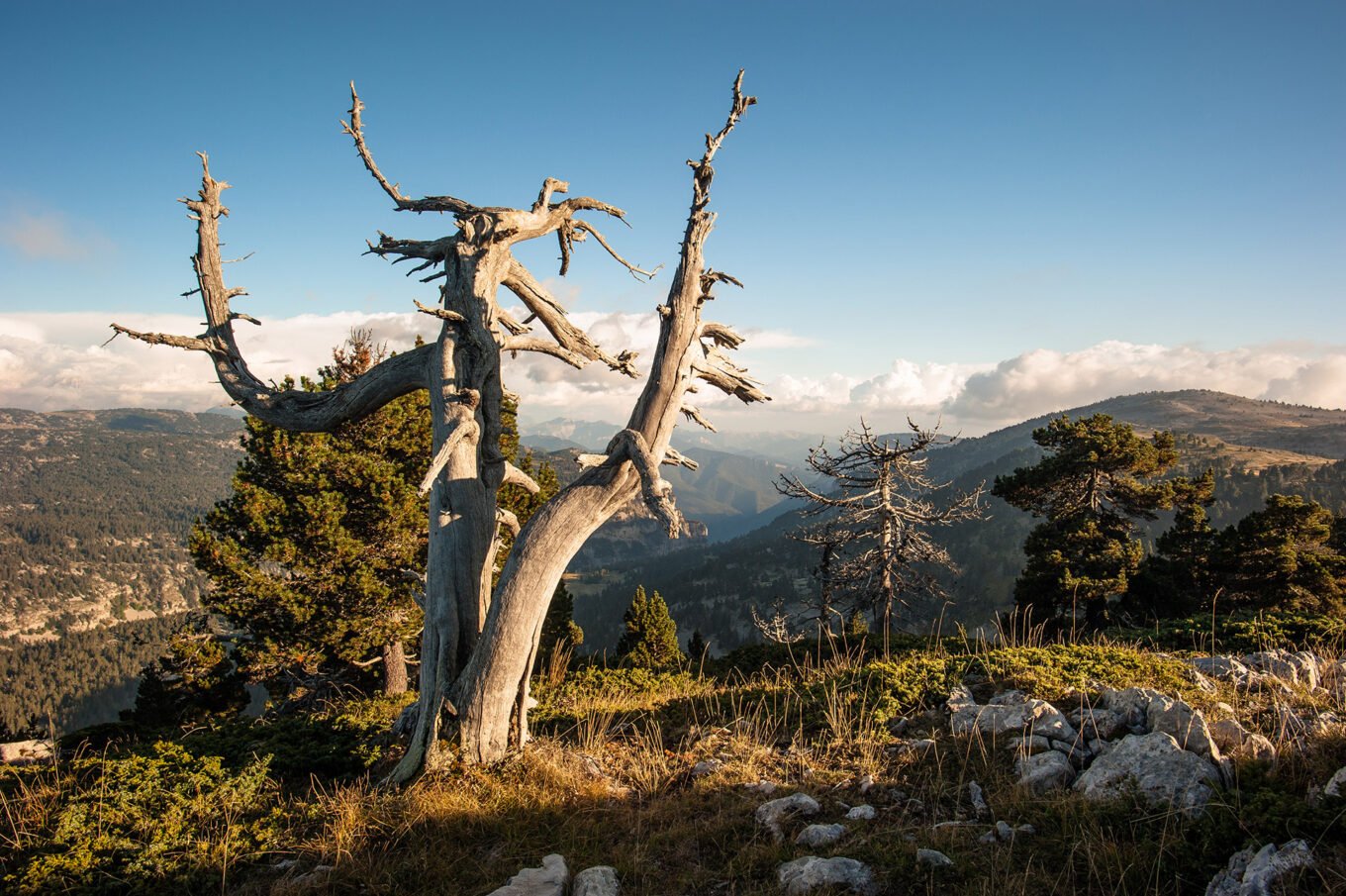 Randonnée Bivouac Vercors de Archiane au Glandasse - Randonnée sur la montagne du Glandasse dans le Vercors