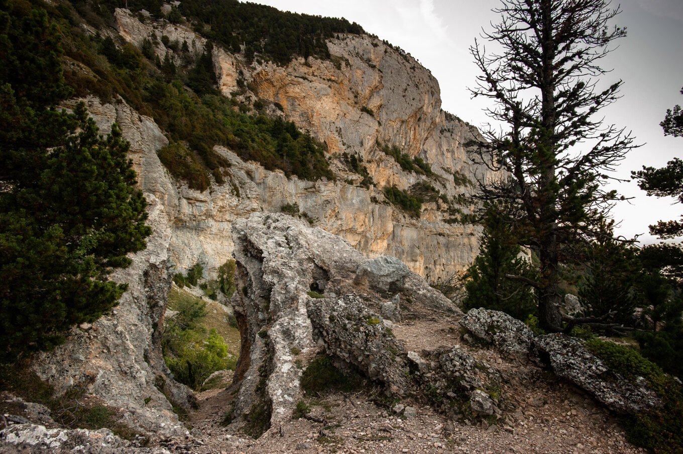 Randonnée Bivouac Vercors de Archiane au Glandasse - Les falaises de la montagne du Glandasse depuis la Palle dans le Vercors