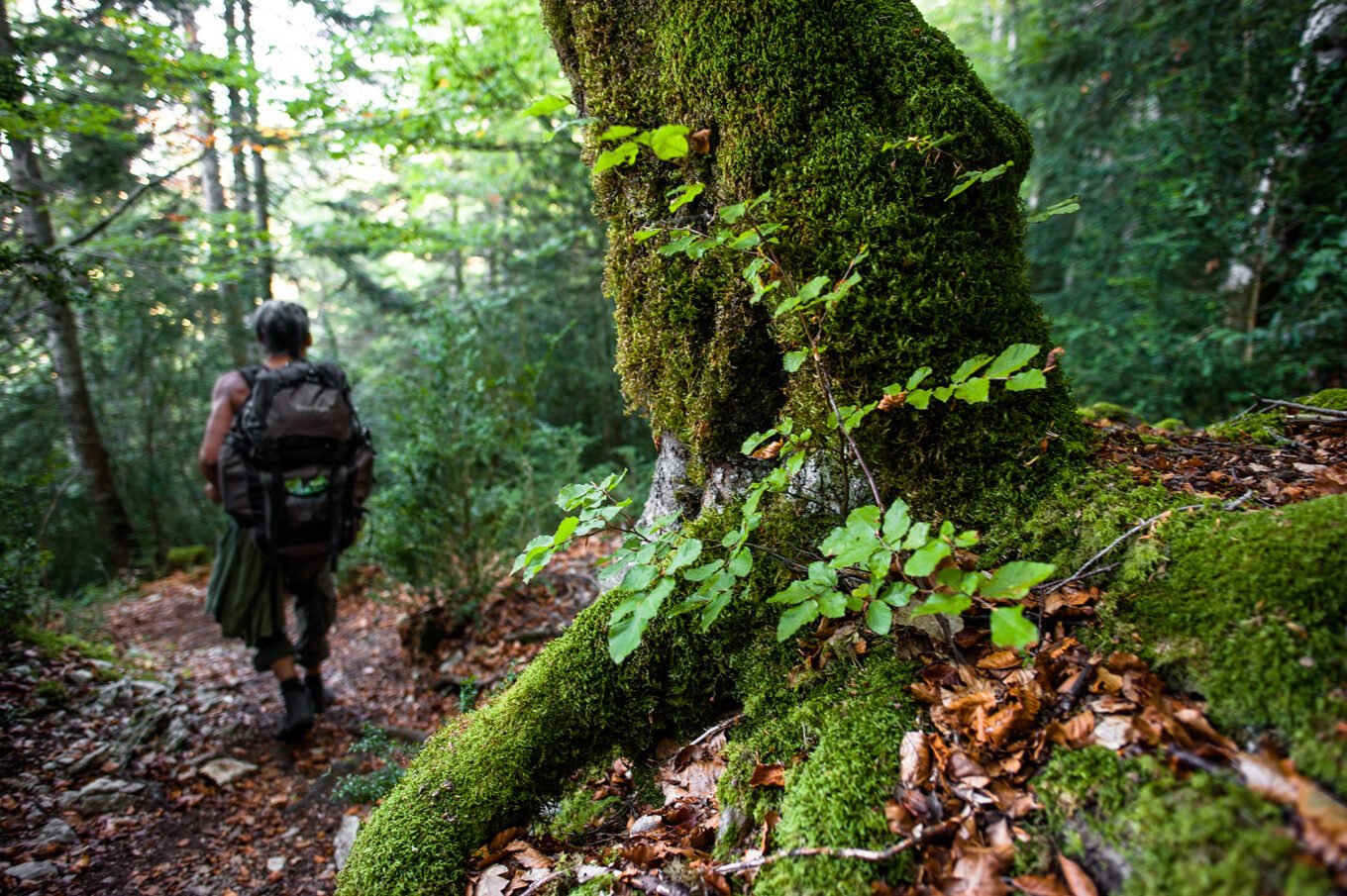 Randonnée Bivouac Vercors de Archiane au Glandasse - Chemin de randonnée dans la forêt de Justin, près de l'abbaye de Valcroissant