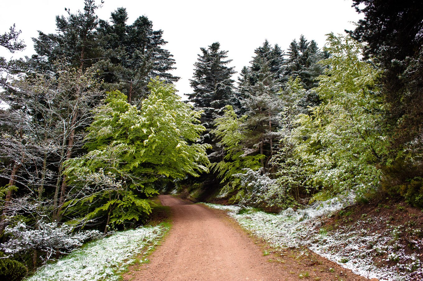 Randonnée Chemin De Stevenson