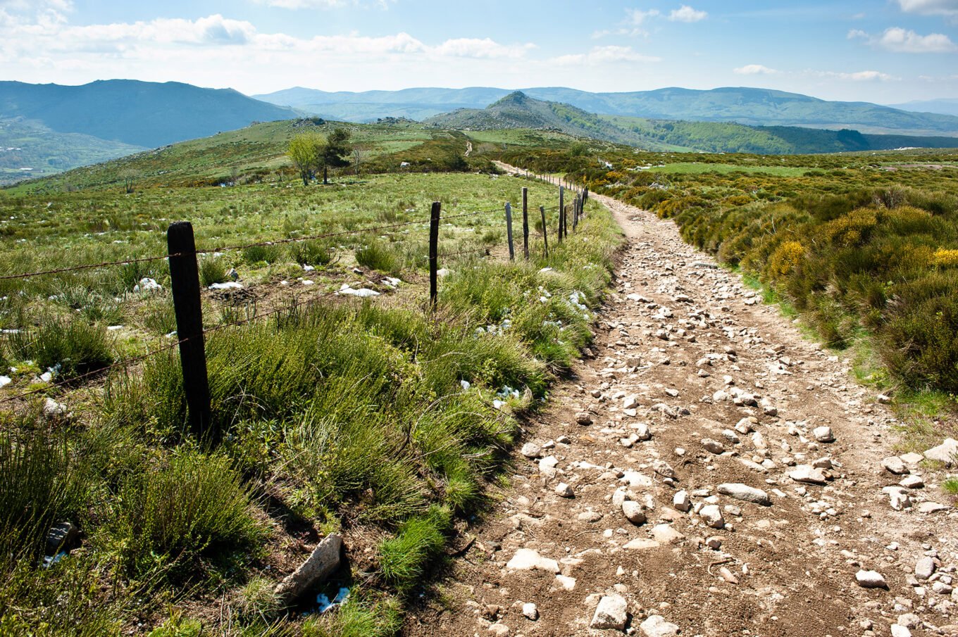 Randonnée Chemin De Stevenson