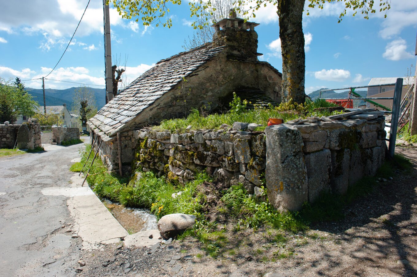 Randonnée Chemin De Stevenson