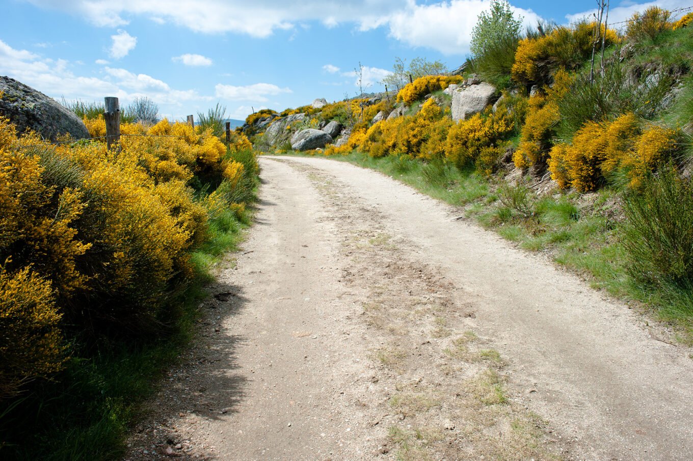 Randonnée Chemin De Stevenson