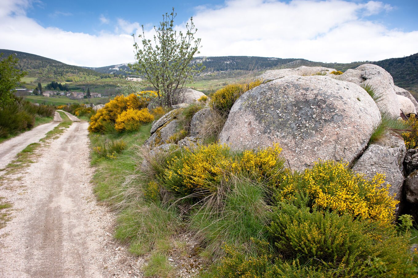 Randonnée Chemin De Stevenson