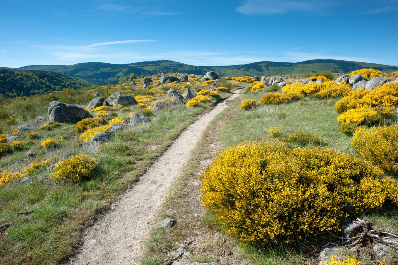 Randonnée Chemin De Stevenson