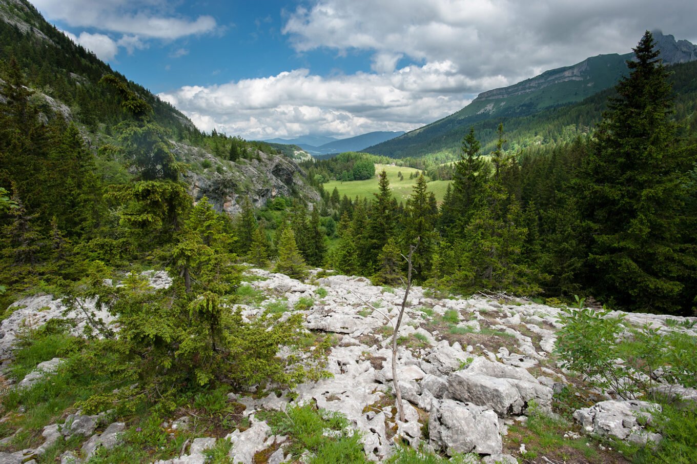 Randonnée Grande Traversée du Vercors - Le vallon de la Fauge