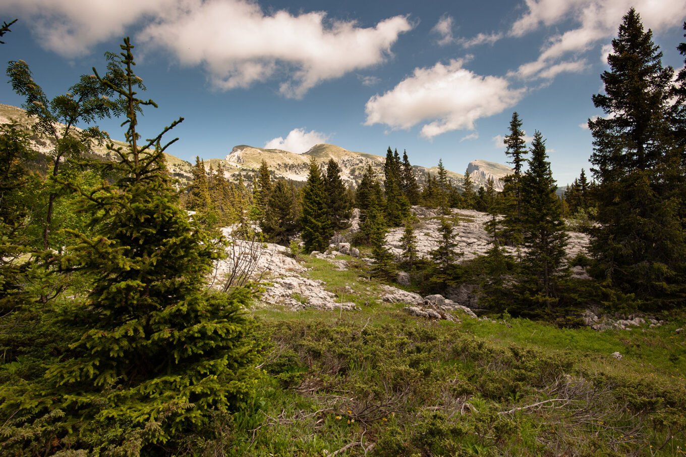 Randonnée Grande Traversée du Vercors - Rocher de Séguret, Roche Rousse, Sommet de la Pierre Blanche et Grand Veymont