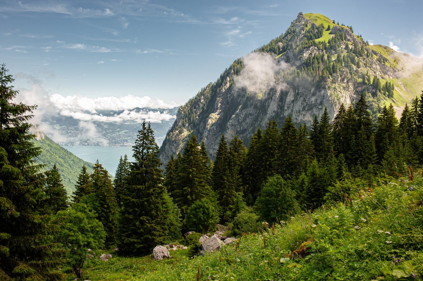 Randonnée GTA / GR5 Grande Traversée des Alpes - Montée de Saint Gingolph au lac de Neuteu et vue sur le lac Léman