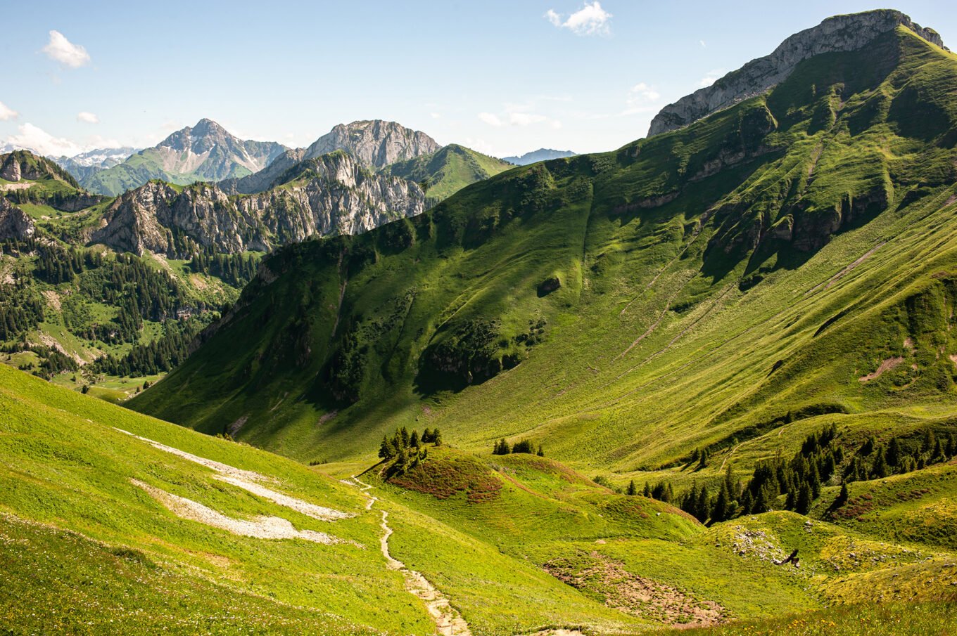 Randonnée GTA / GR5 Grande Traversée des Alpes - Vue sur le vallon des Cornettes de Bise depuis le col de Bise, Chablais