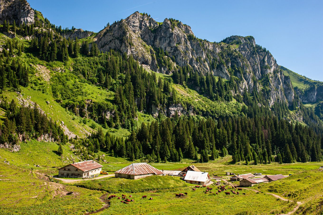 Randonnée GTA / GR5 Grande Traversée des Alpes - Hameau du refuge de Bise et Pointe de la Bosse, Chablais