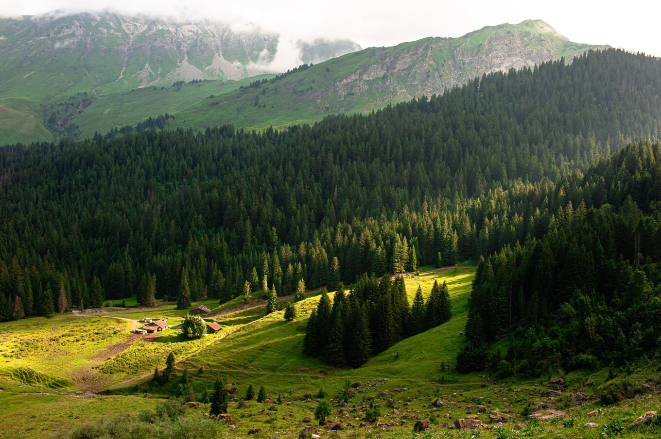 Randonnée GTA / GR5 Grande Traversée des Alpes - Jolie lumière matinale sur le refuge de Chardonnière, Chablais