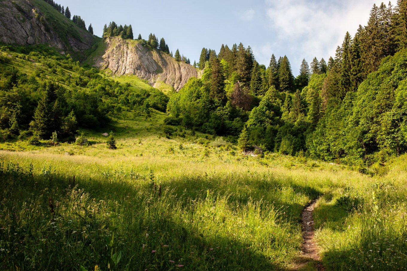 Randonnée GTA / GR5 Grande Traversée des Alpes - Montée au Col de la Golèse, Chablais