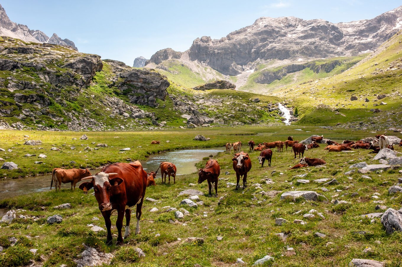 Randonnée GTA / GR5 Grande Traversée des Alpes - Le Plan de la Plagne en Vanoise