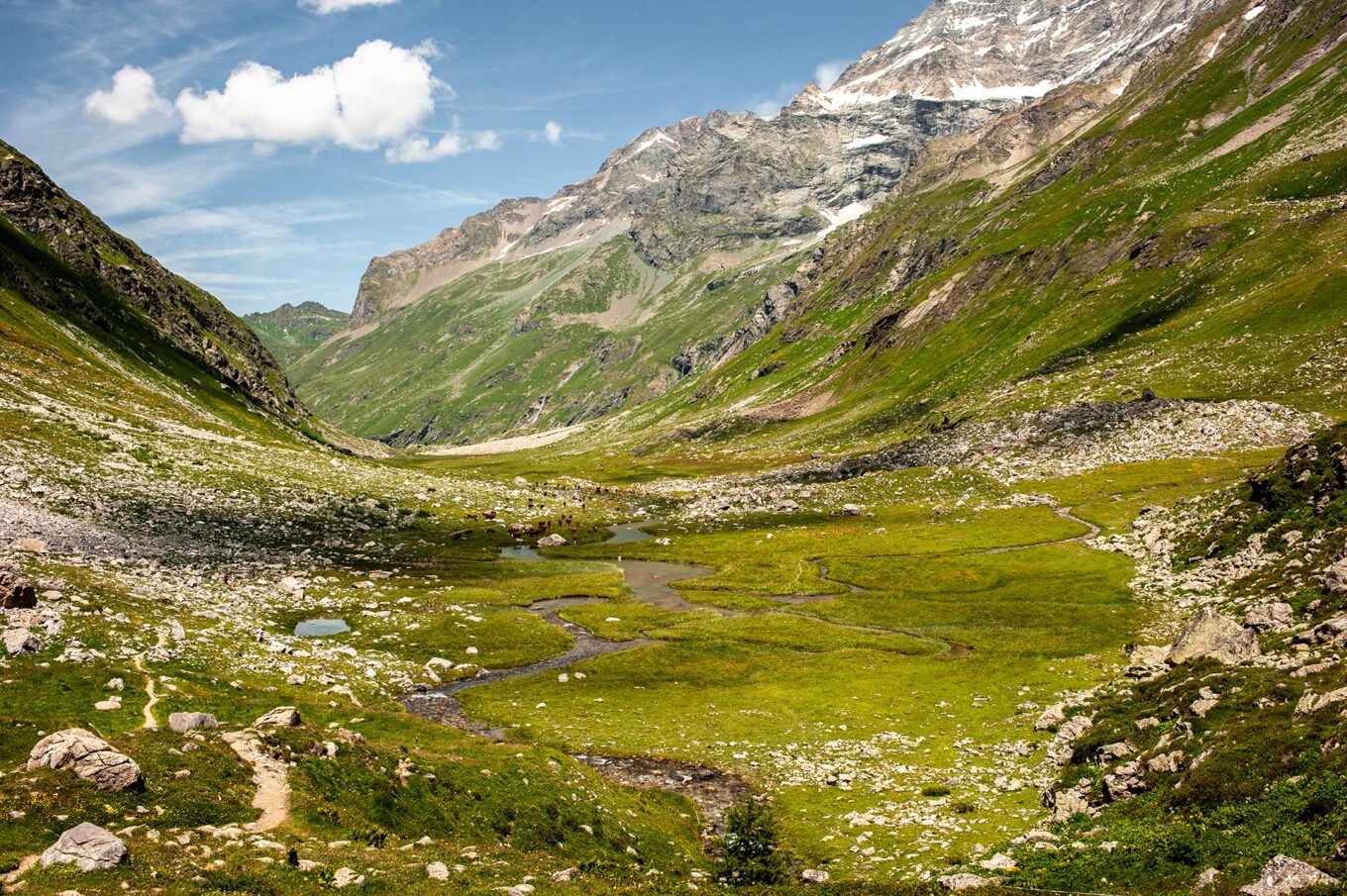 Randonnée GTA / GR5 Grande Traversée des Alpes - Le Plan de la Plagne en Vanoise