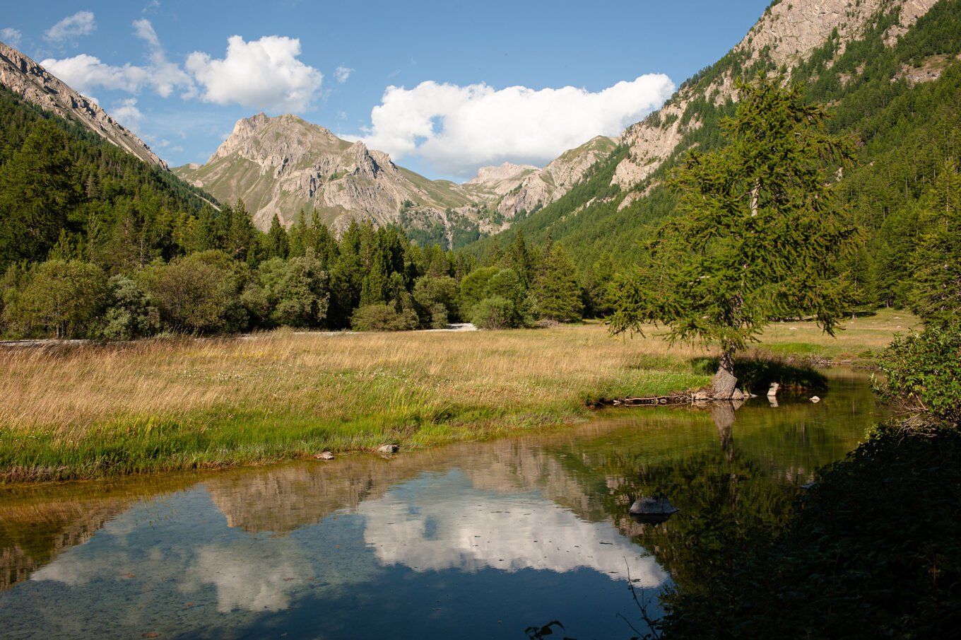 Randonnée GTA / GR5 Grande Traversée des Alpes - Entrée dans le Parc du Queyras par le Plan de la Loubière