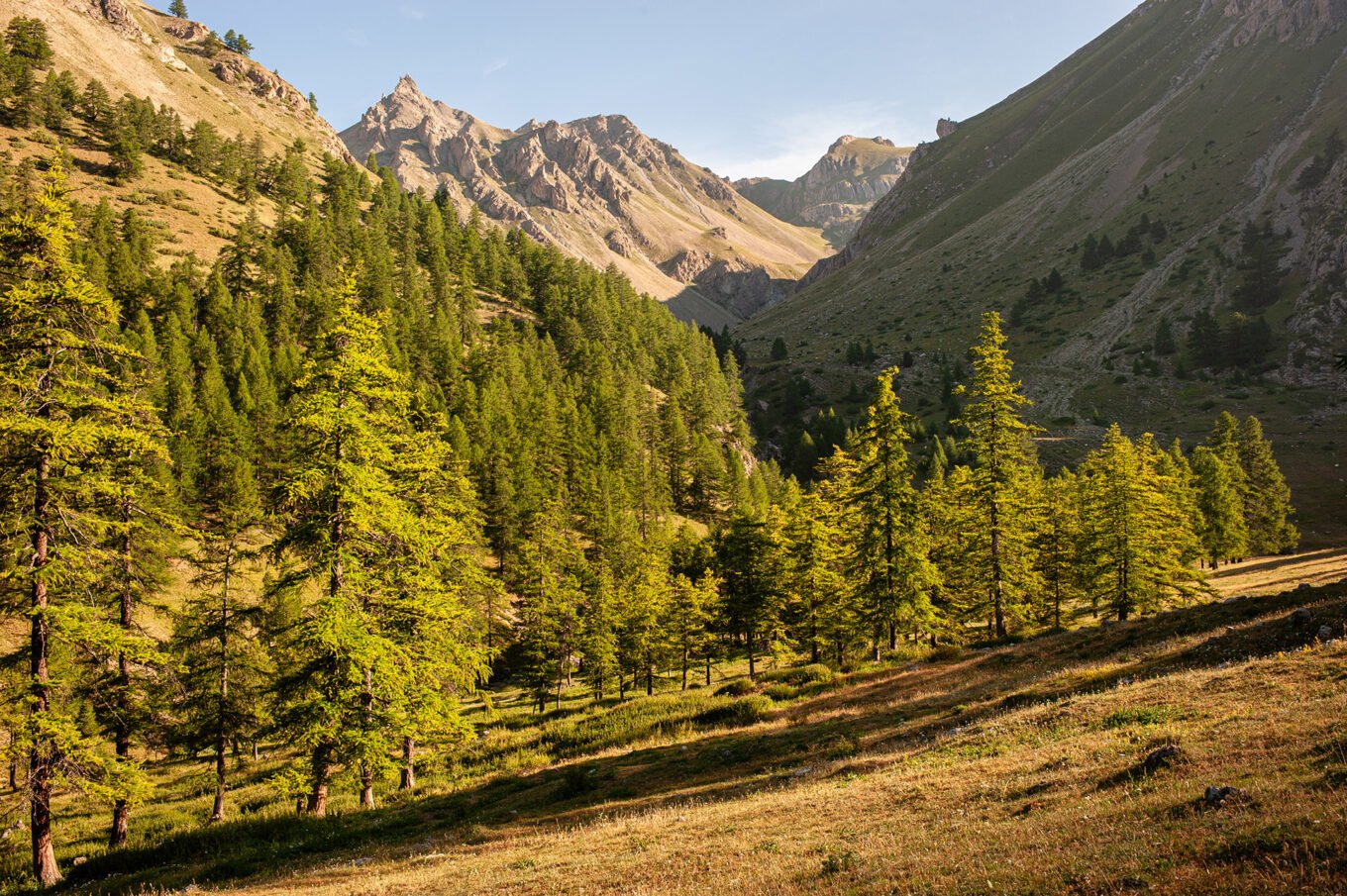 Randonnée GTA / GR5 Grande Traversée des Alpes - Montée au Lac de Néal dans le Queyras