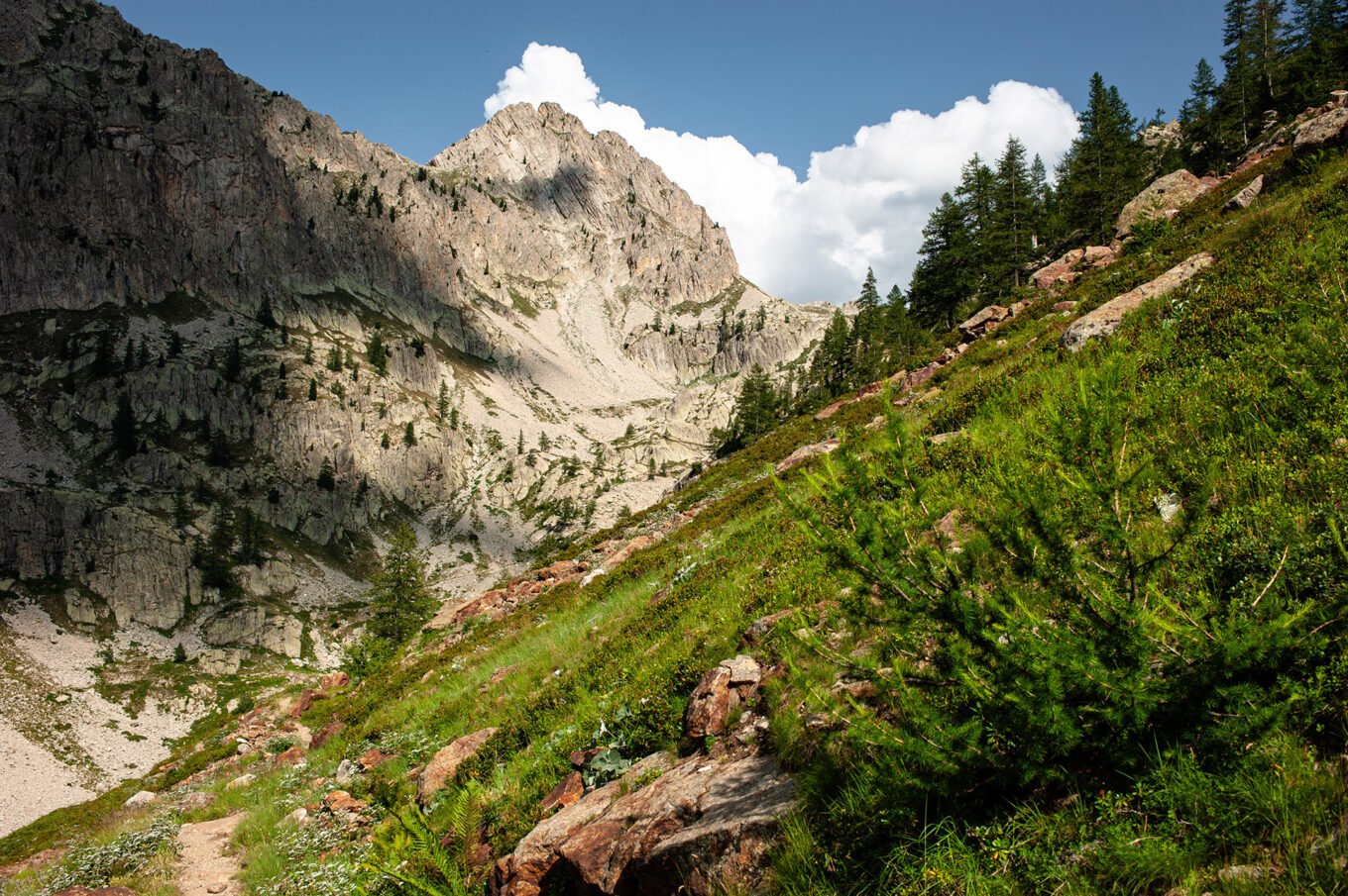 Randonnée GTA / GR5 Grande Traversée des Alpes - Montée au Colletto del Valasco , Parc Naturel des Alpes Maritimes en Italie