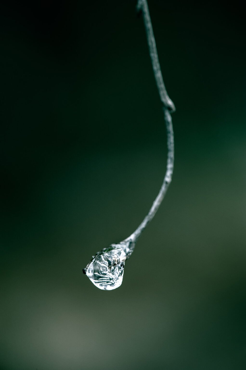 Randonnées d'hiver dans le Vercors et le Diois