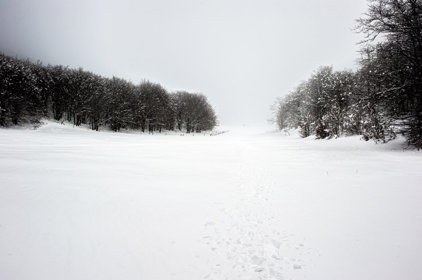 Randonnées d'hiver dans le Vercors et le Diois