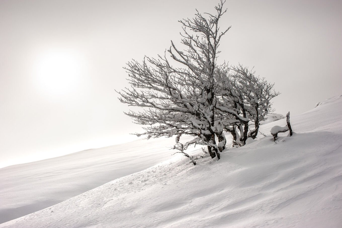 Randonnées d'hiver dans le Vercors et le Diois