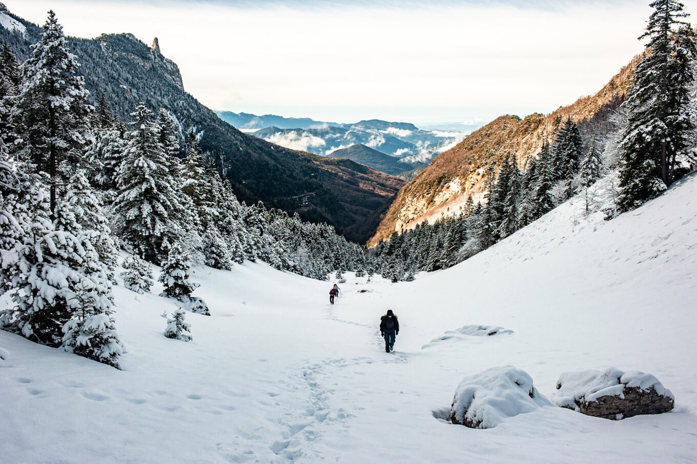 Randonnées d'hiver dans le Vercors et le Diois