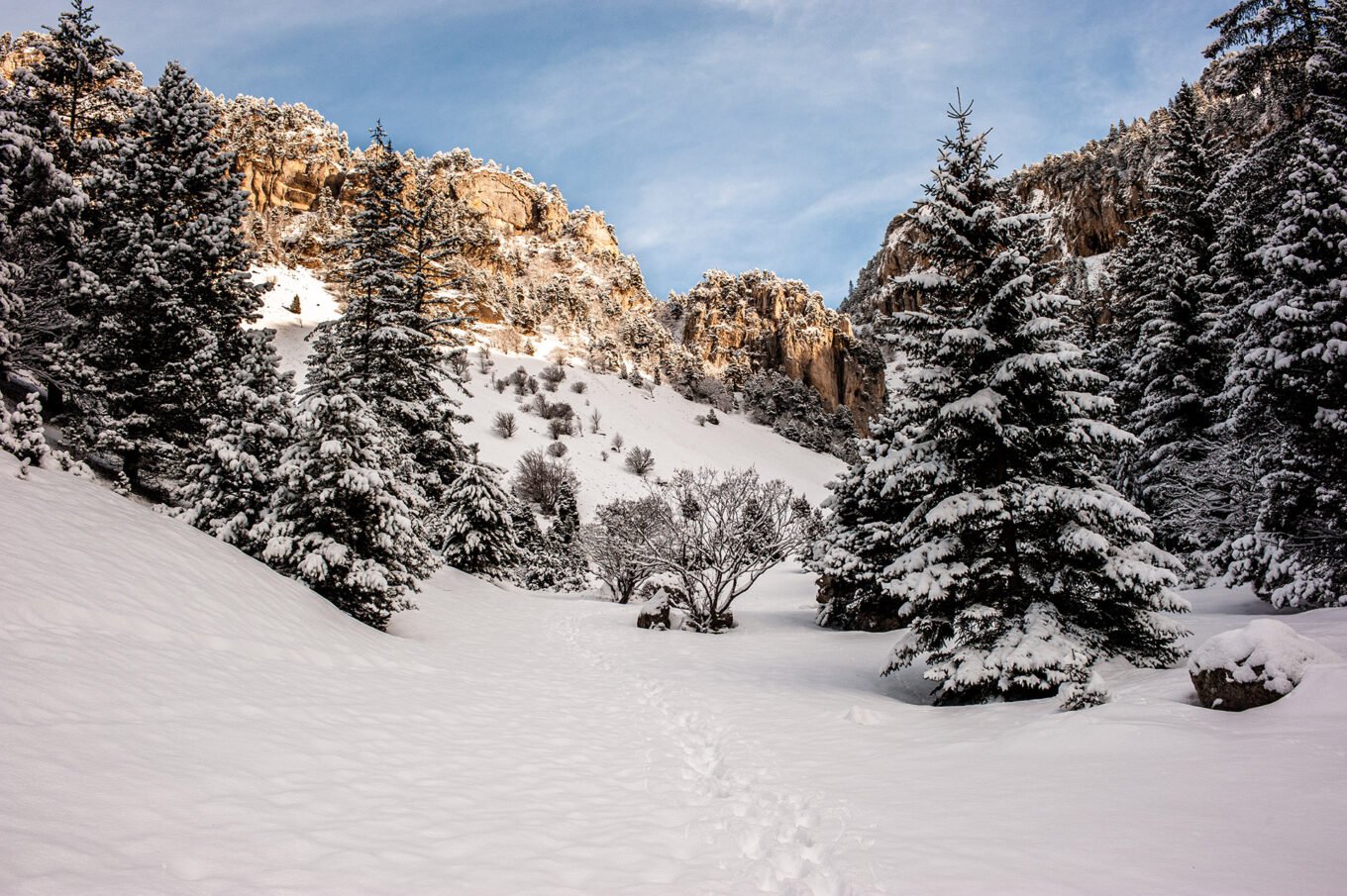 Randonnées d'hiver dans le Vercors et le Diois