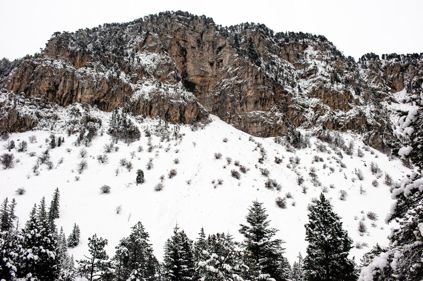 Randonnées d'hiver dans le Vercors et le Diois