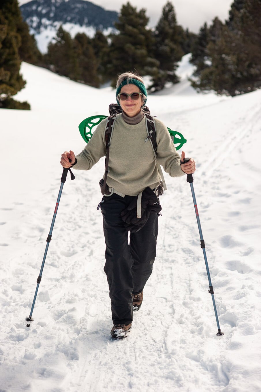 Randonnées d'hiver dans le Vercors et le Diois