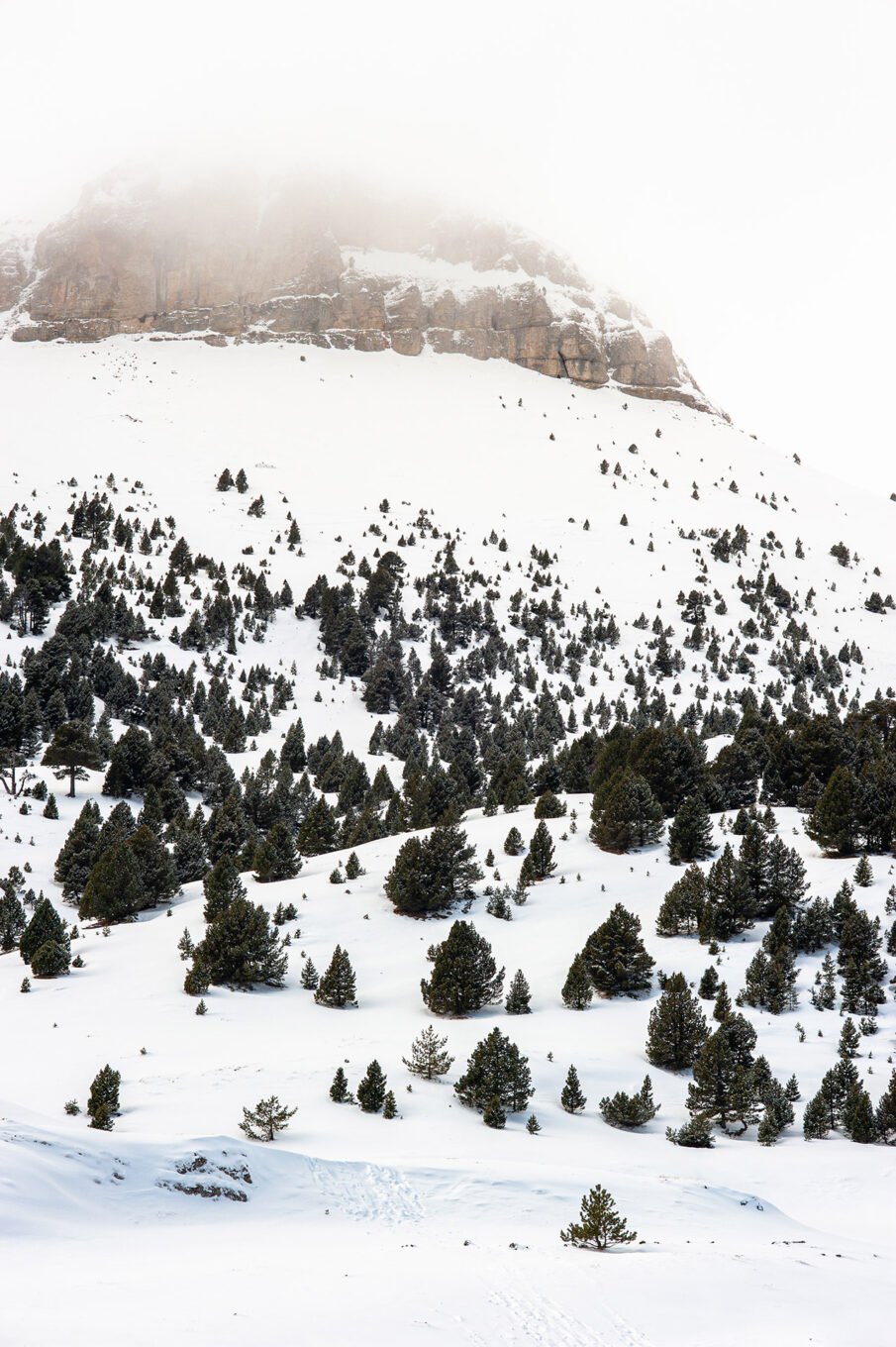 Randonnées d'hiver dans le Vercors et le Diois