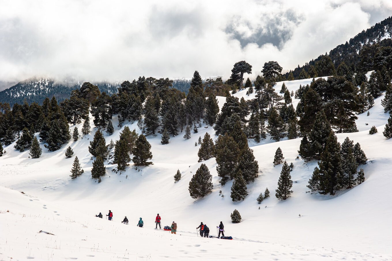 Randonnées d'hiver dans le Vercors et le Diois