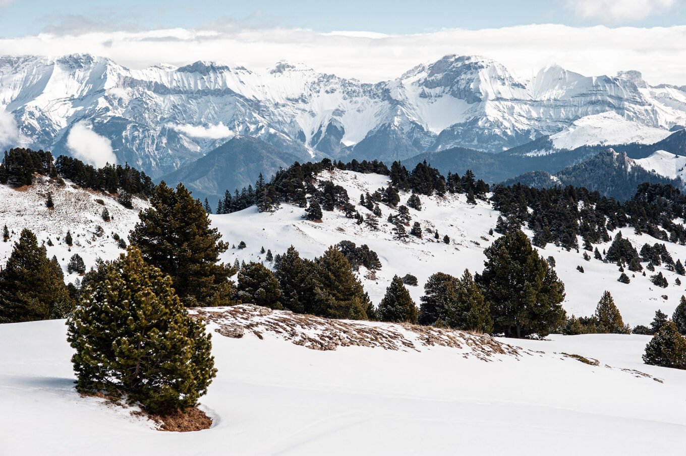 Randonnées d'hiver dans le Vercors et le Diois