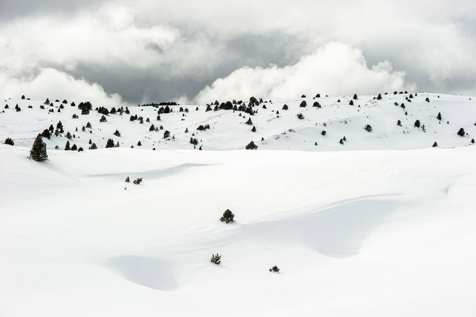 Randonnées d'hiver dans le Vercors et le Diois