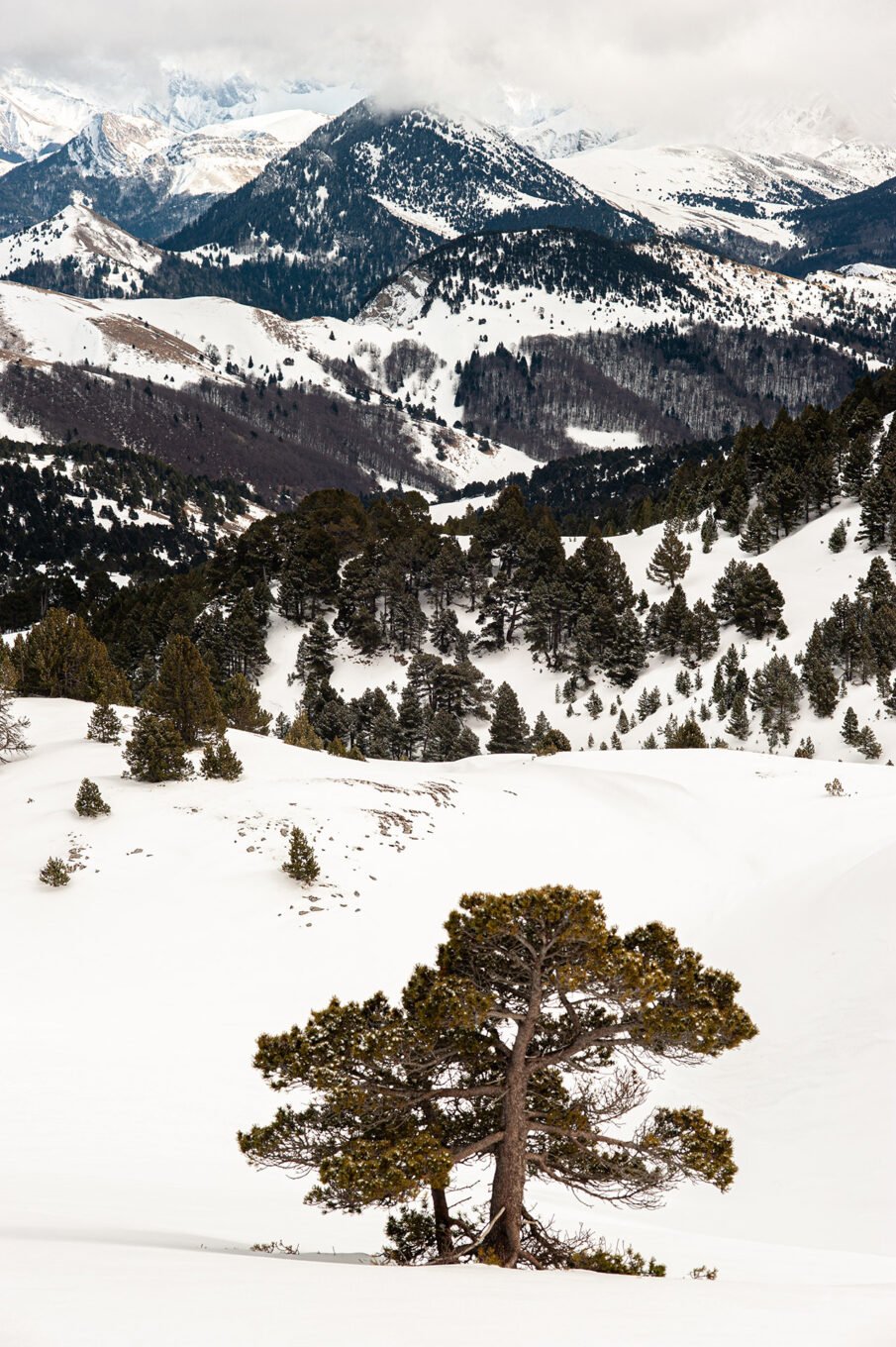 Randonnées d'hiver dans le Vercors et le Diois