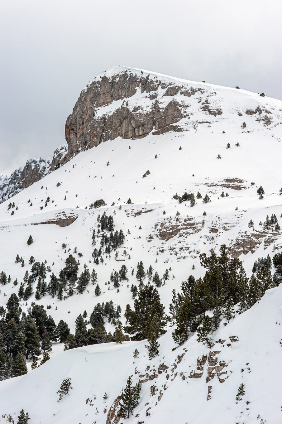 Randonnées d'hiver dans le Vercors et le Diois