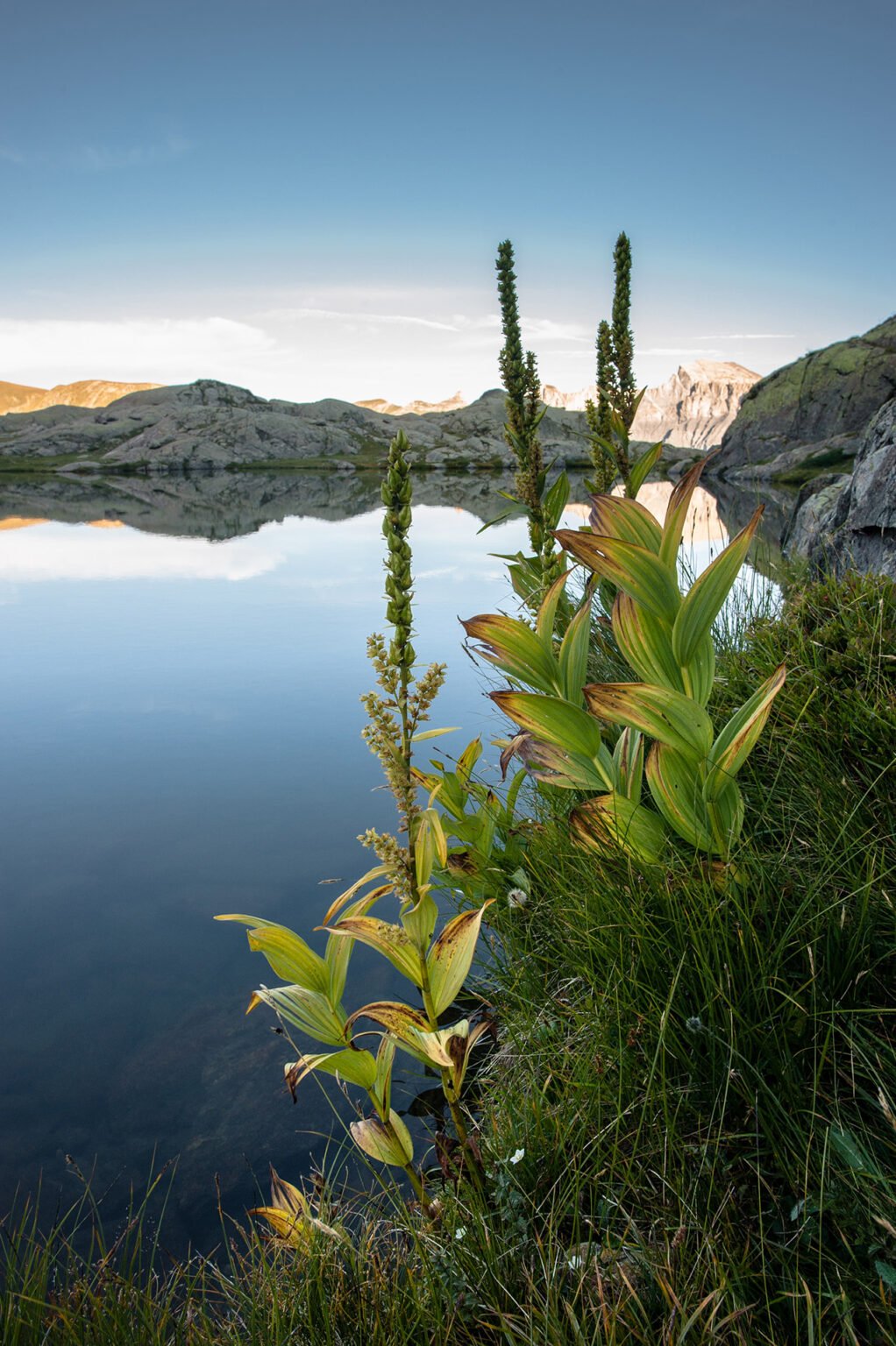 Randonnée aux Lacs de Morgon dans le Parc National du Mercantour
