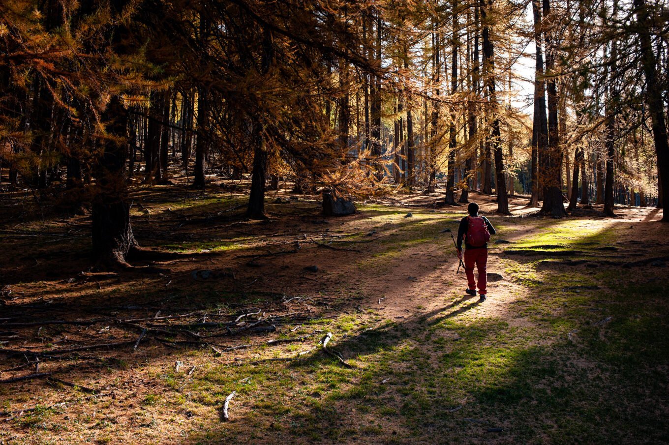 Randonnée d'automne dans les montagnes du Mercantour - Randonnée dans les forêts de mélèzes aux couleurs d'automne