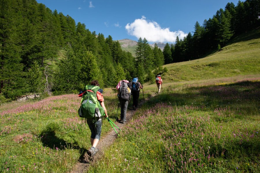 Randonnée Tour du Queyras par l'Ubaye en 9 jours - Le vallon du Malrif