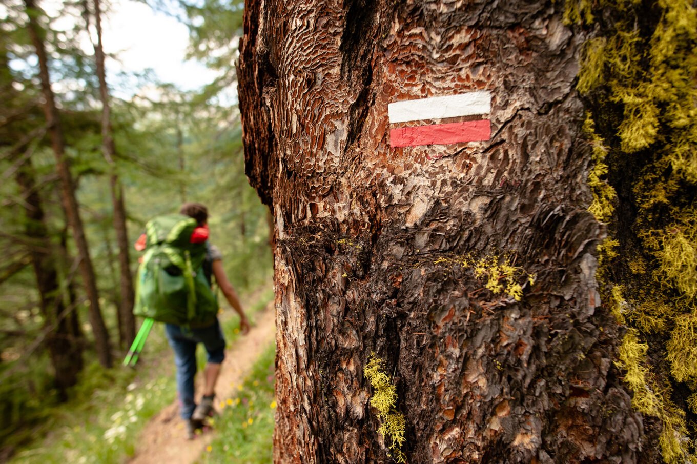 Randonnée Tour du Queyras par l'Ubaye en 9 jours - Sentier du GR58