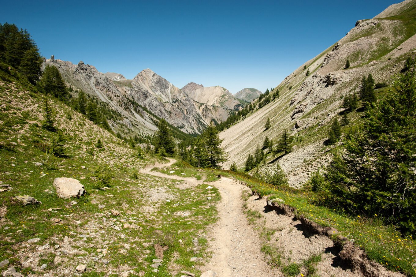 Randonnée Tour du Queyras par l'Ubaye en 9 jours - Le Plan du Vallon sous le col de Furfande