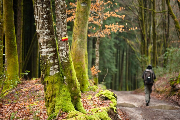Randonnée Traversée du Morvan