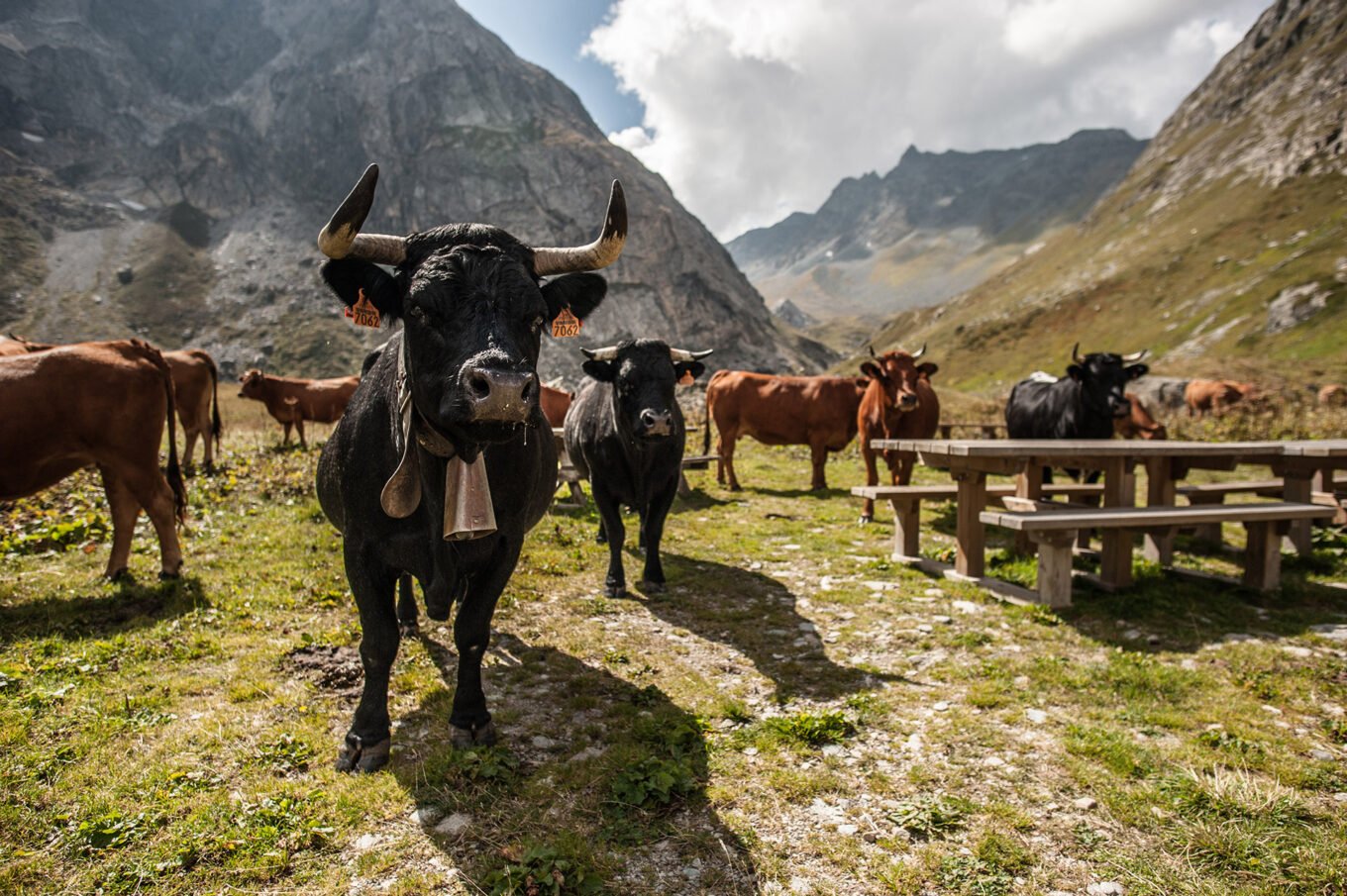 Randonnée itinérante traversée des la Vanoise en 6 jours - Le Refuge du Saut